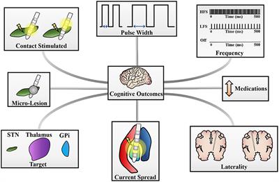 A Review of Cognitive Outcomes Across Movement Disorder Patients Undergoing Deep Brain Stimulation